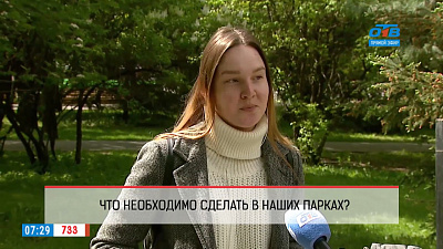 Опрос — чего не хватает челябинским паркам?