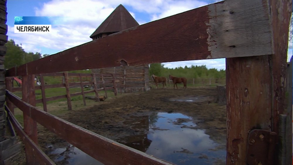 Адаптивные программы для детей-ивалидов