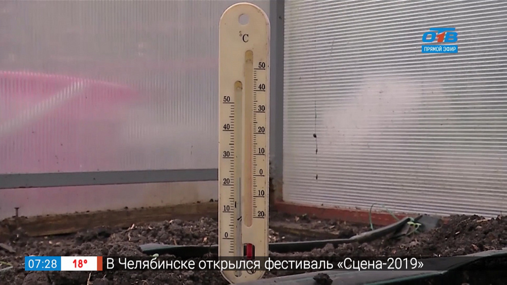 Садовые истории — выращивание огурцов