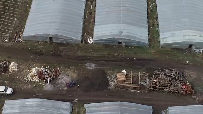 Огромный штраф грозит предпринимателю за нелегальный труд в тепличных хозяйствах