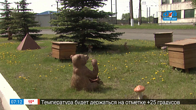 Цветущий ЧМК