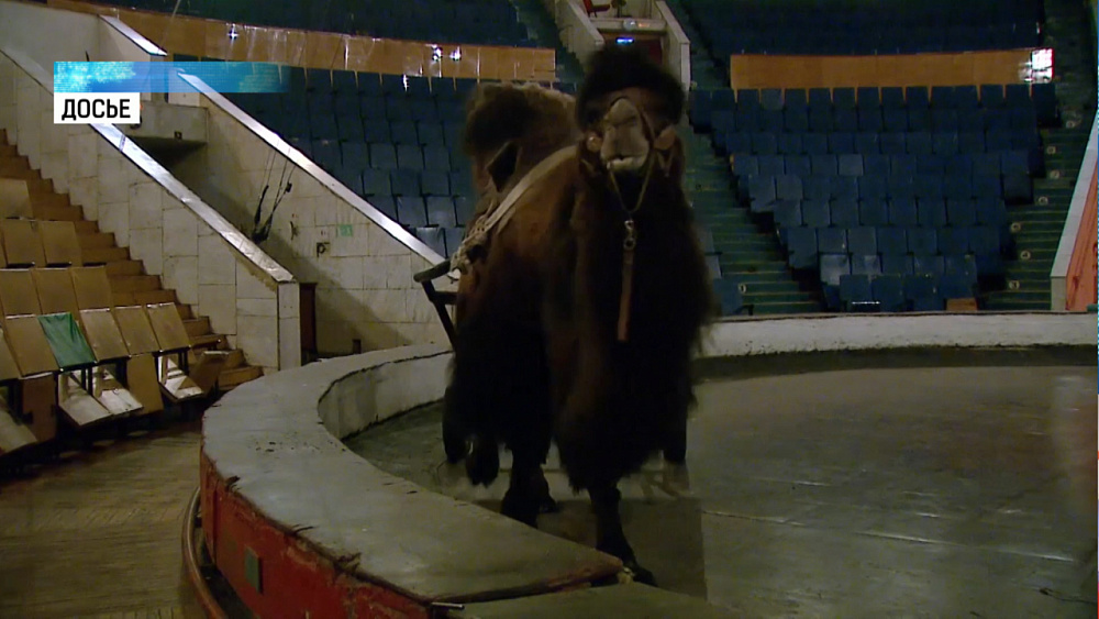 Челябинский цирк закрыли на полтора года