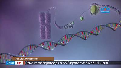 Статья о структуре ДНК