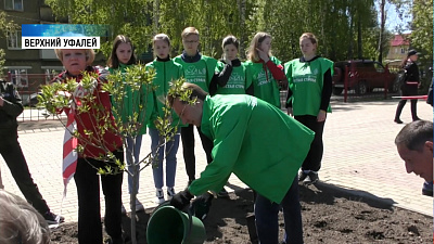 В Верхнем Уфалее высадили новые деревья