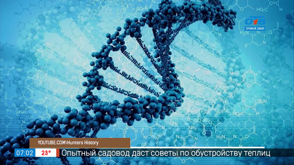 Синтез первого искусственного гена