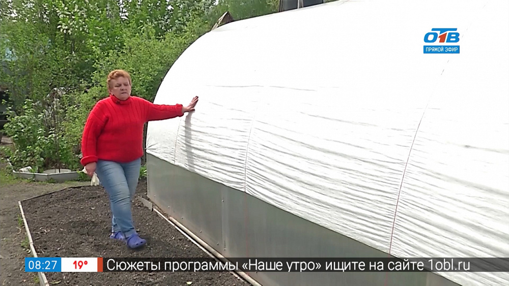 Садовые истории — поликарбонатная теплица