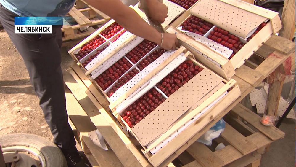 В Челябинск завезли сезонные ягоды