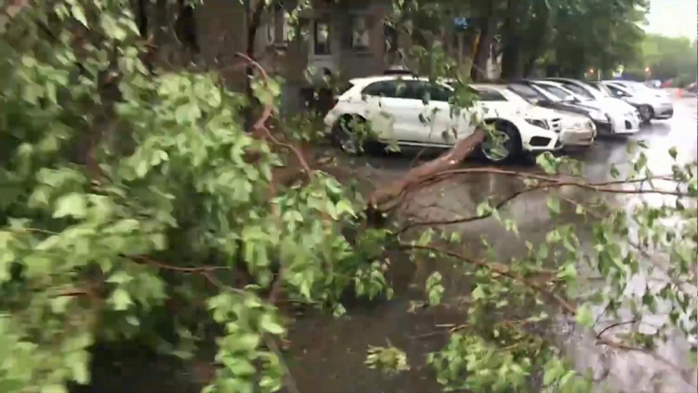 Ураган бушует в области