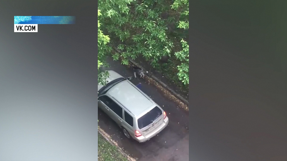 Челябинец выгуливал собаку из машины