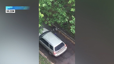 Челябинец выгуливал собаку из машины