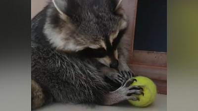 Занялся спортом к лету, но что-то пошло не так