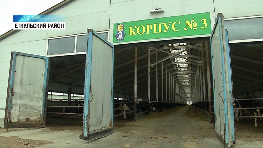 Представители партии КПРФ приехали в Коелгу