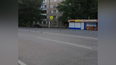 Челябинцев напугали мертвые голуби на дороге