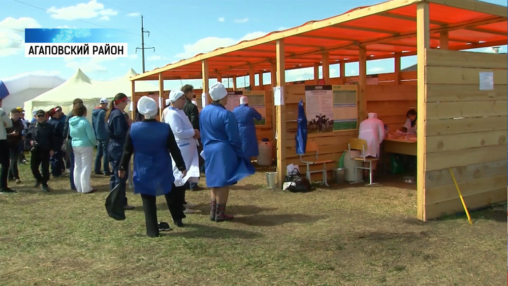 Операторы по воспроизводству стада повышают мастерство