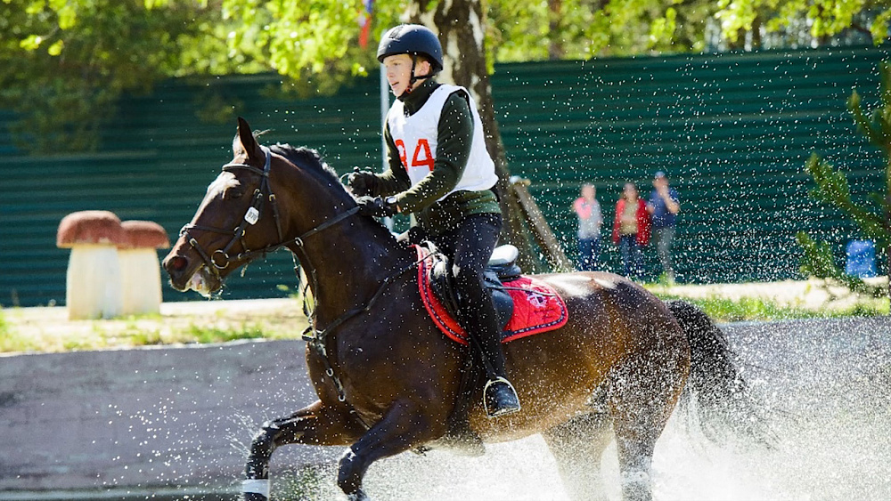 Обзор спортивных событий от 11.06.2019