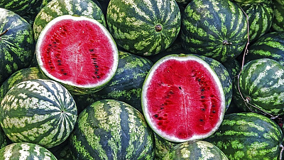 В Челябинск привезли первые арбузы