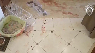 СК опубликовал видео с места убийства жены экс-вратаря «Трактора»