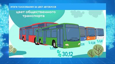 Итоги голосования за цвет автобусов