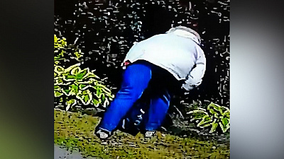 На похитительницу-пенсионерку пожаловались миассцы в соцсетях