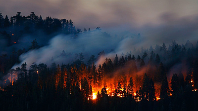 Не все районы Челябинской области подготовились к пожароопасному сезону