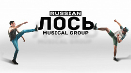 Группа ЛОСЬ