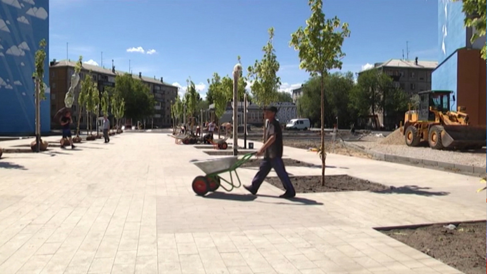 В сквере возле дома 164 высаживают клены
