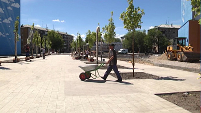 В сквере возле дома 164 высаживают клены