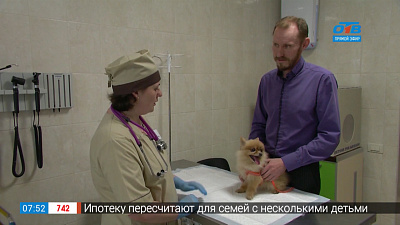 Пушистое утро — газовый наркоз