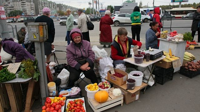 Челябинские депутаты предлагают ужесточить наказание для незаконных уличных торговцев