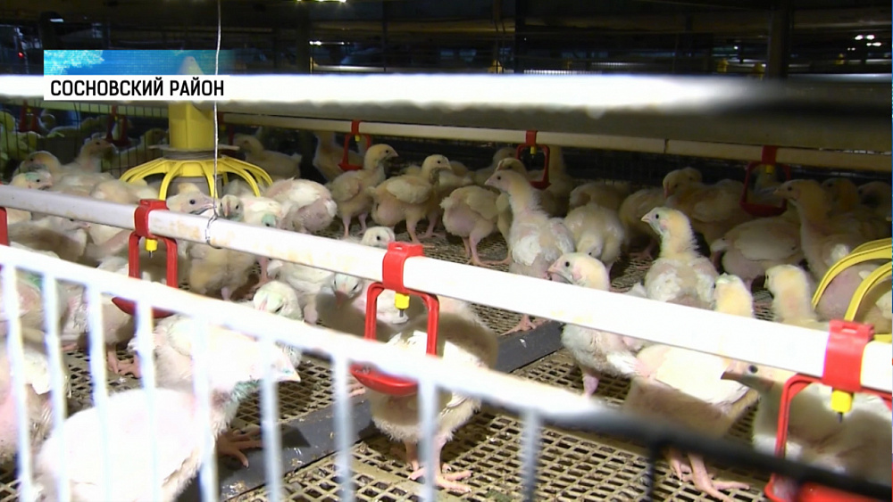 Алексей Текслер оценил производство «Рависа»