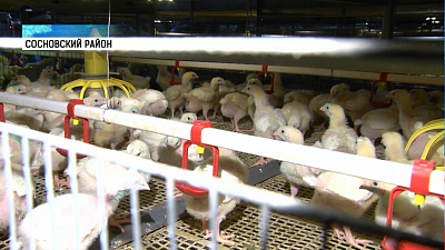 Алексей Текслер оценил производство «Рависа»