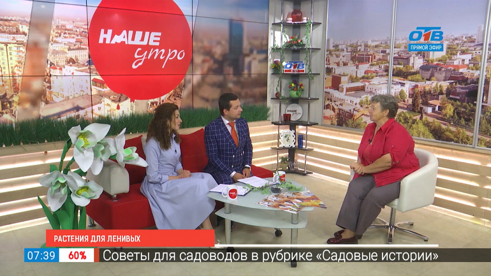 Растения для ленивых