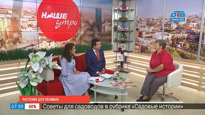 Растения для ленивых