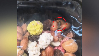 Живые орехи продали в Озерске