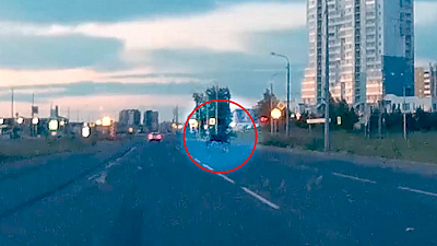 Необычный лесной житель забрел в «Парковый-2»