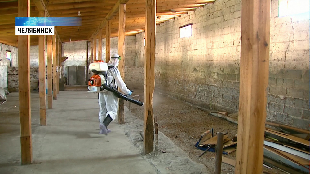 Ветеринары провели учения по борьбе с птичьим гриппом