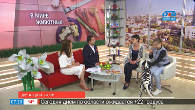 Друг в беде не бросит