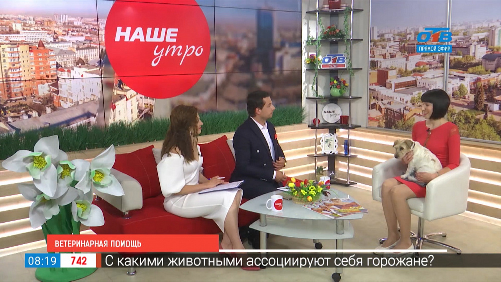 Ветеринарная помощь