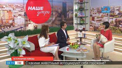 Ветеринарная помощь