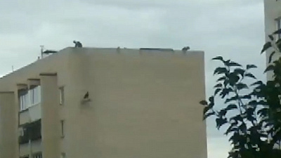 С крыши миасской многоэтажки летит рубероид