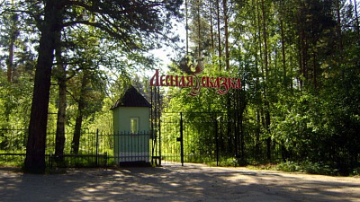 Директора детского лагеря «Лесная сказка» уволили за нарушения в работе