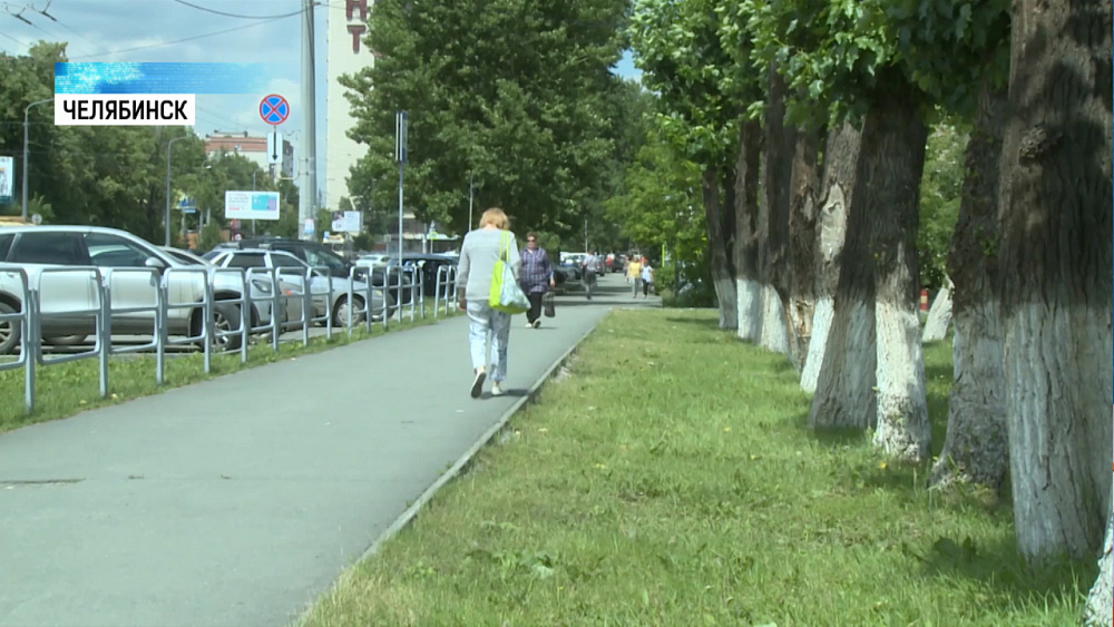 После омолаживающей обрезки гибнут деревья