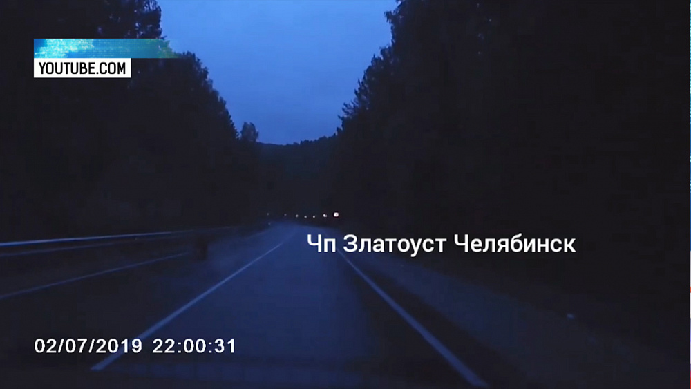 Под Миассом на трассу выбежал медвежонок
