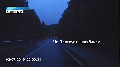 Под Миассом на трассу выбежал медвежонок