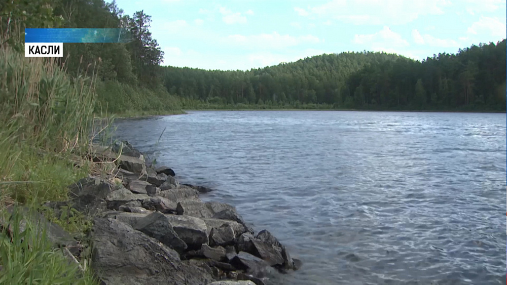 Большие Касли могут остаться без окуня и плотвы
