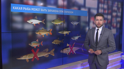 Какая рыба может быть заражена описторхозом