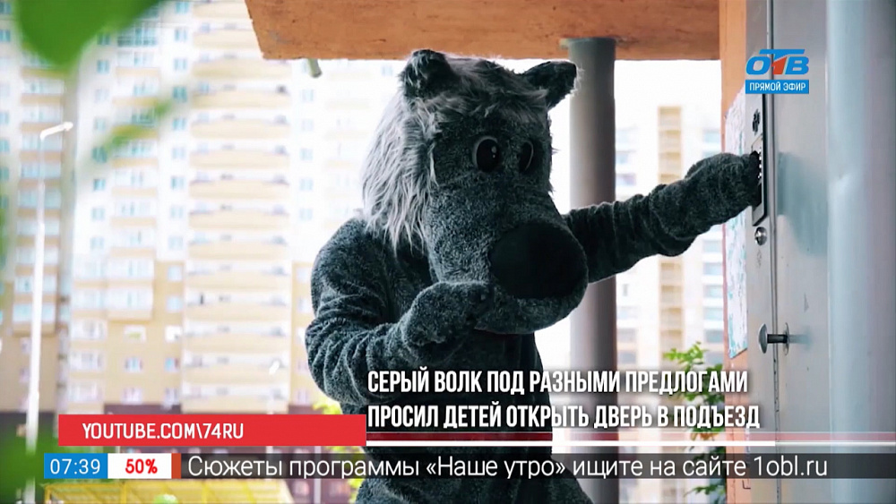 Серый волк у вас дома!