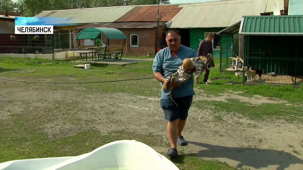 Даллакян призывает общественников действовать