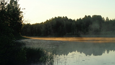 МЧС усилит патрулирование на водоемах Челябинской области из-за массовой гибели людей