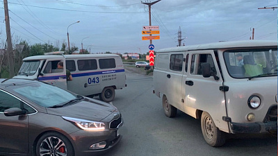 Охрана «Мечела» задержала экоактивиста